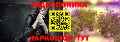 молекула духа Кулебаки